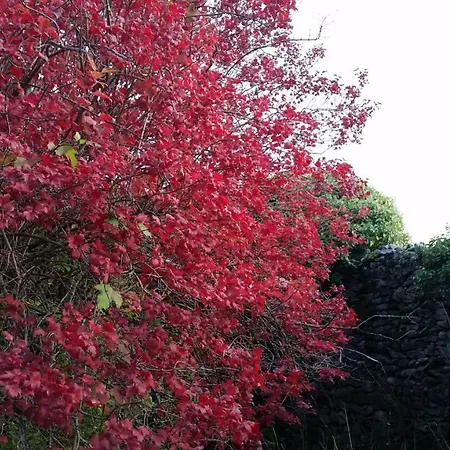 Loboratorio Rural-cuenta Hasta 3 Vakantiehuis Umbrías