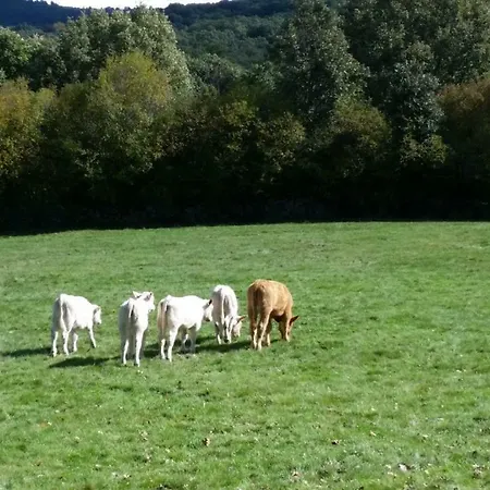 Vakantiehuis Loboratorio Rural-cuenta Hasta 3 Umbrías