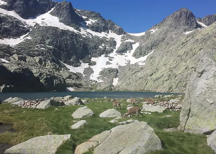 펜션 Loboratorio Rural-cuenta Hasta 3 *