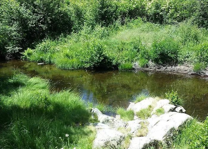 Loboratorio Rural-cuenta Hasta 3