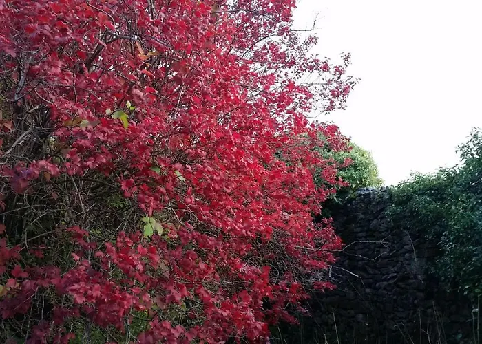 Loboratorio Rural-cuenta Hasta 3 펜션 Umbrías