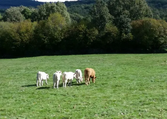 펜션 Loboratorio Rural-cuenta Hasta 3 Umbrías